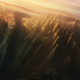 Image for article titled I am sorry you have to live in the time of terraforming, and not in the spring that follows